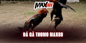 da-ga-thomo-max88-1