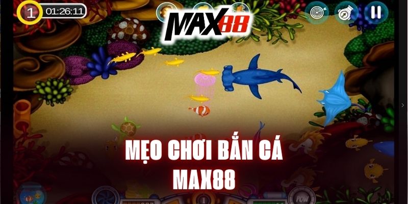 meo-choi-ban-ca-max88