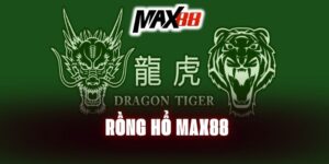 rong-ho-max88