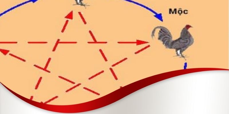 Cách xem ngày đá gà theo tuổi chuẩn xác